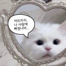 CN베이비 | 🤍서울거주 광주예식 part.3 드메르홀패키지_CN스튜디오 웨촬 (+금손헤변쌤)