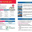 소나무유통