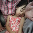 단이식당 이미지