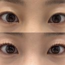 벨플로르 | 경북도청 속눈썹펌 잘하는 곳, 벨플로르 방문 후기
