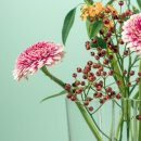 선우맞춤형산후케어 부천점 이미지