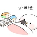 전주여울초등학교 이미지