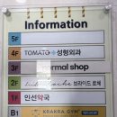 W10. 드레스투어 다녀왔습니다｜제이스포사·브라이드로체 비교 후 브라이드로체 계약
