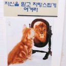 고기서 고기 이미지