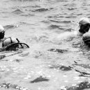 장발단속 이미지