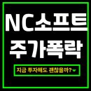 메이져 PC | 엔씨소프트 주가 폭락, 하락 이유와 앞으로의 전망까지