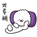 애견미용학원설민우