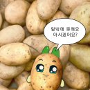하프블루 이미지