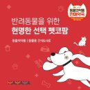 팜동물약국 이미지