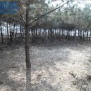 파주6리 경로당 이미지