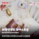 와락펫푸드 이미지