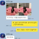 보성이탈리안그레이하운드 이미지