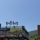 대전 계산동 수통골 쭈꾸미 맛집 , 가족 외식으로 딱! [복사꽃피는집] 재방문 후기