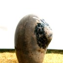 달마 PC방 이미지