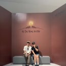 동대문 DDP 키크니 특별전 <그렸고 그런사이> 웃음과 눈물이 공존, 내돈내산 후기 / 굿즈 정보