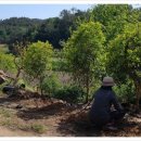 점암농장 이미지