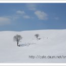 진인목장 이미지