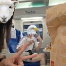 롯데슈퍼강릉입암점 | 강릉에 다녀옴