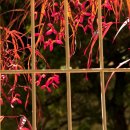 상신농장 이미지