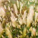 잠실애슬리의원 이미지