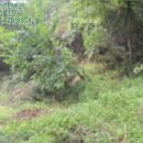 무주읍129 이미지