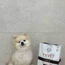 무한양행 이미지