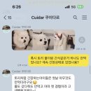 쿠이다르 이미지