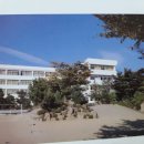 진주여자중학교 | 진주여자중학교(진주)40회