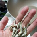 청풍농수산