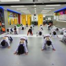 용인대 청당 태권도 이미지