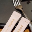 술바라기