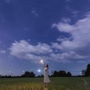 몽게스트하우스