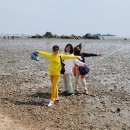 지난 5월 25일 (대체공휴일) 에 연세인천부천동문회가 개최한 [강화 석모도 일원 탐방] 행사를 정리하여 보내드립니다 (블로그 포함) 이미지