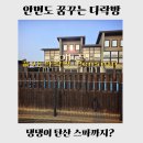 세네동신축&스파펜션 | [안면도 펜션] 꿈꾸는 다락방｜독채 스파룸이 완벽한 태안 애견 동반 숙소 후기