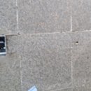 농협신니 이미지