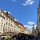 시민회관옆(11번) | 프라하 신혼여행 7｜하벨시장 운영시간 카드사용여부 기념품 추천, 프라하 시민회관 오케스트라 관람 후기