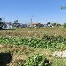 송용리2 이미지