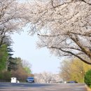 로하스대청공원 이미지