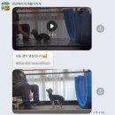 송광정신재활센터 | 수중 트레드밀이 있는 시흥강아지재활센터 건강해지개 재활기차개