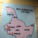 흑룡강성 - 서구 통학로 74 | 흑룡강성