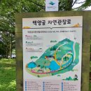 백양사 | 전남 장성 백양사 가족여행 후기｜무더운 여름에도 숲길 덕분에 힐링! 백양사의 역사와 매력까지