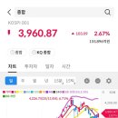 시그널그라피