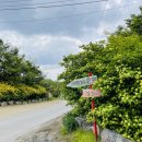 삼막골농원 이미지