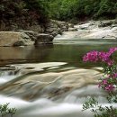 동양공업고등학교 이미지