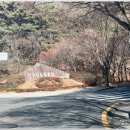 팔공스크린골프 | 팔공 CC 대구 골프장 산중 골프라운딩 후기