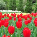 소래습지생태공원(안내소) 이미지