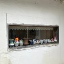 모든날이 행복하기를 | 애견동반 서귀포 게스트하우스, 모행 후기