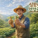 라이프식품 티스토리