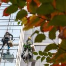 영동빌딩 이미지