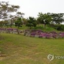 성애농장 이미지